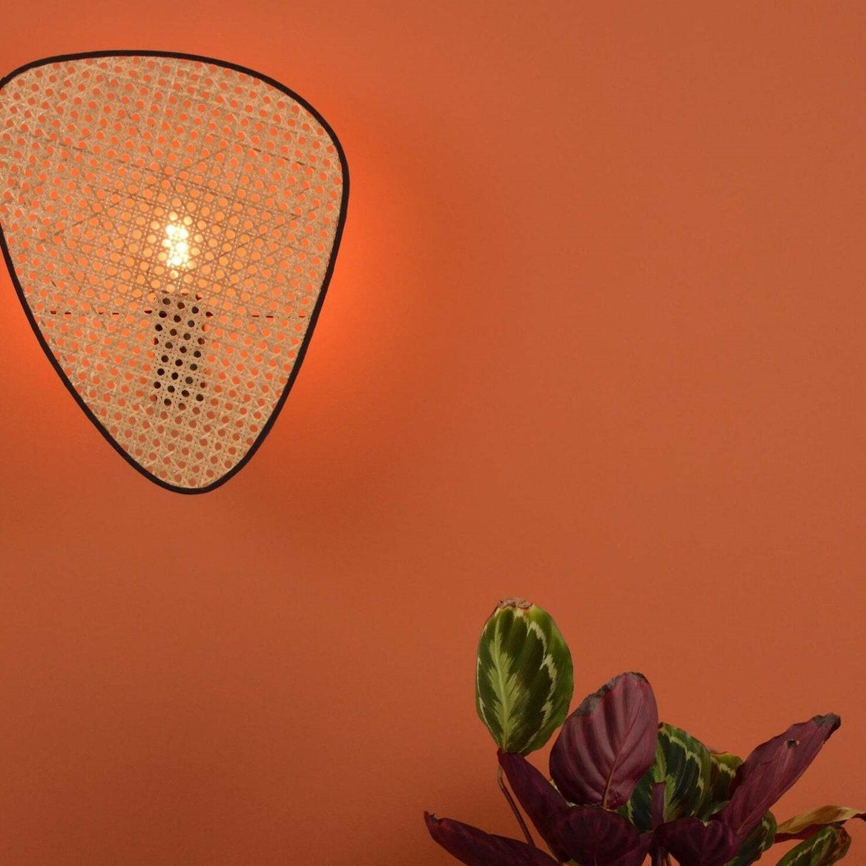 Applique murale aérienne rotin vintage | Style wabi sabi