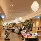 Suspension au design aérien | Style Japandi