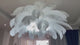Lustre doré en plumes blanches en forme de palmier